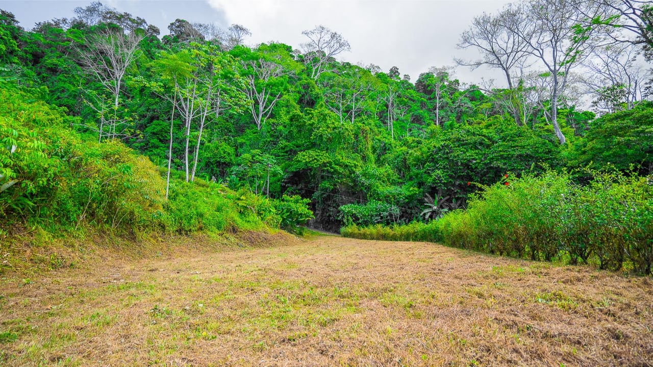 Flat Buildable Ocean View Lot, Ojochal, Puntarenas