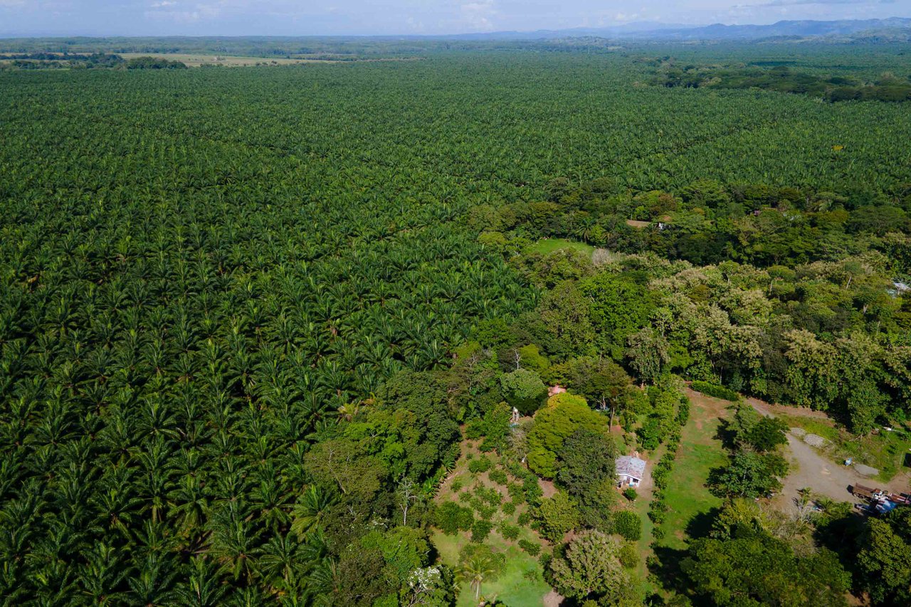 Tropical Paradise Farm in the Heart of Quepos