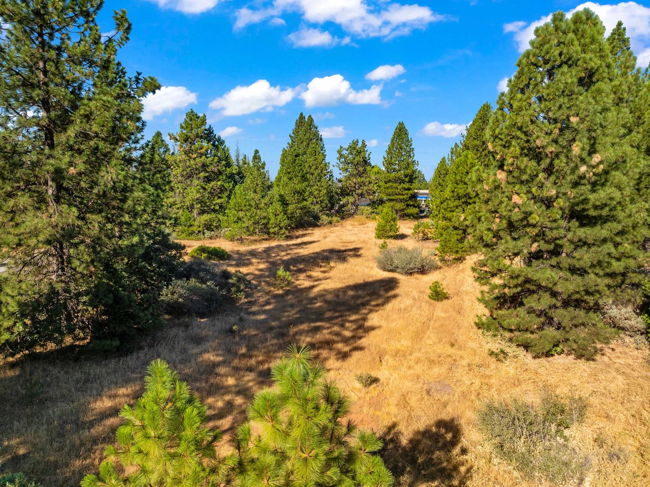 3131 Sierra Blanca Dr, Camino