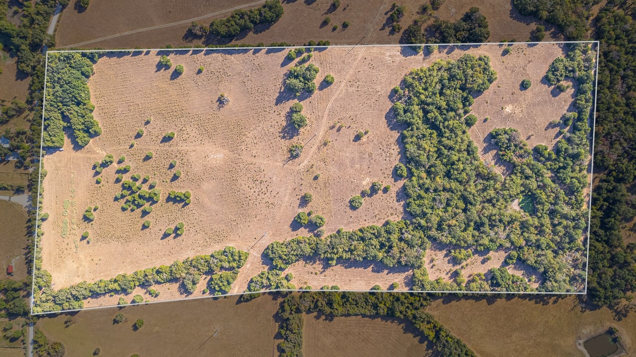 59.59 Acres in Brazos Valley region