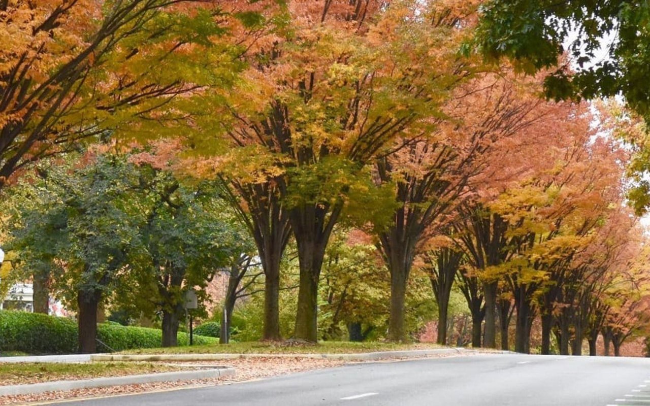 Roland Park