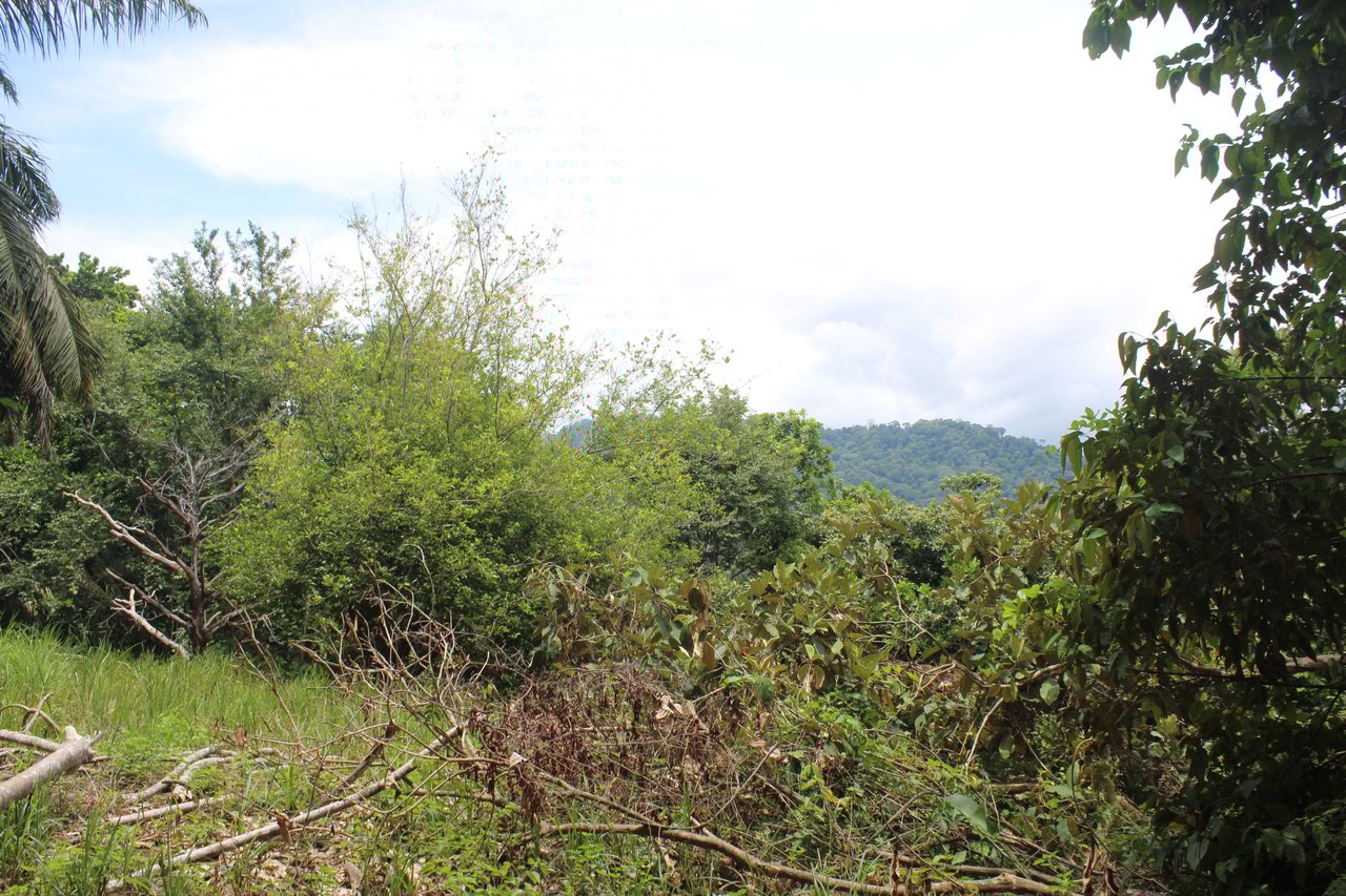 Income Producing Property with Ocean View close to Dominical