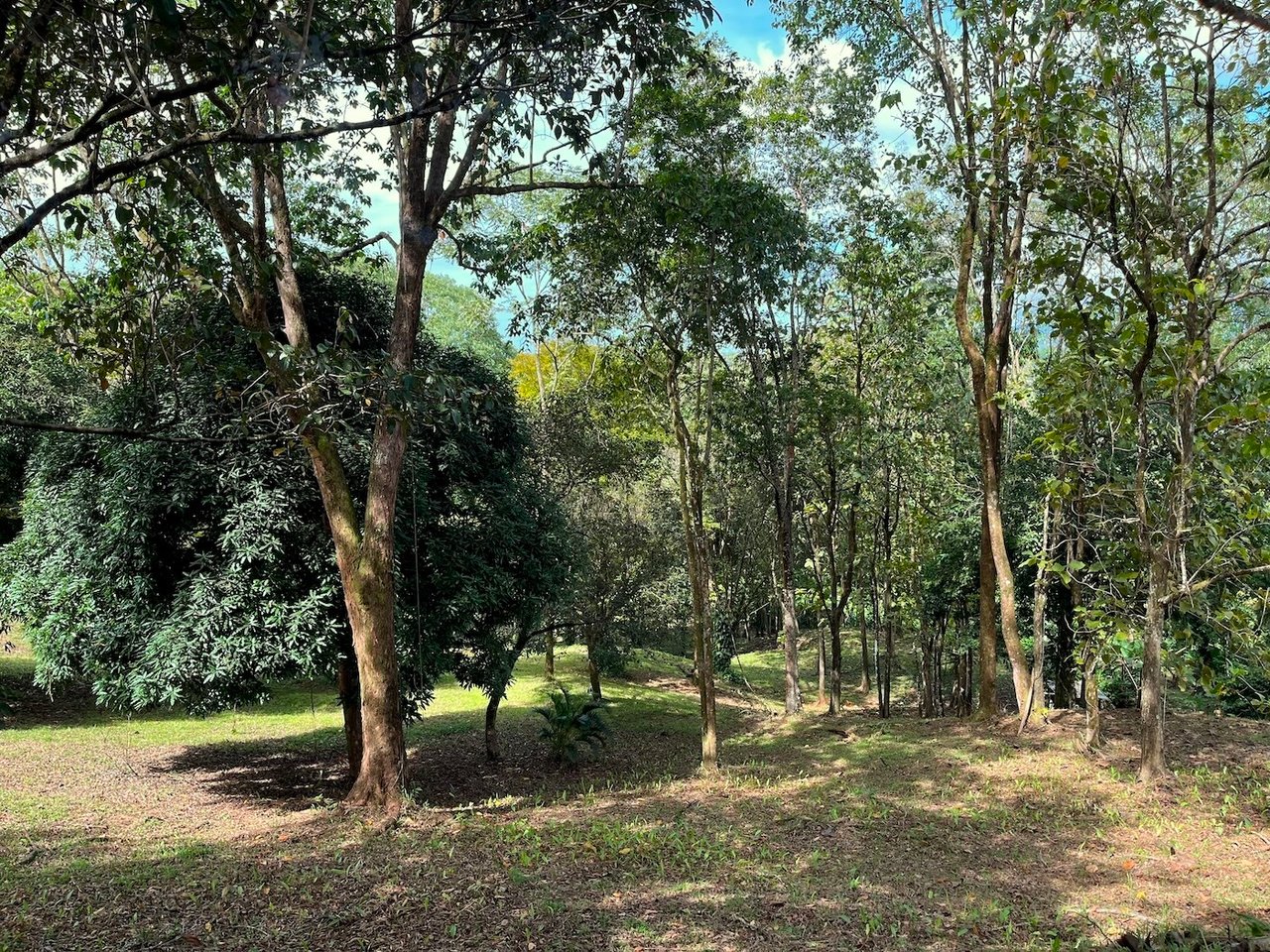 Luxury Development Land, Uvita, Puntarenas
