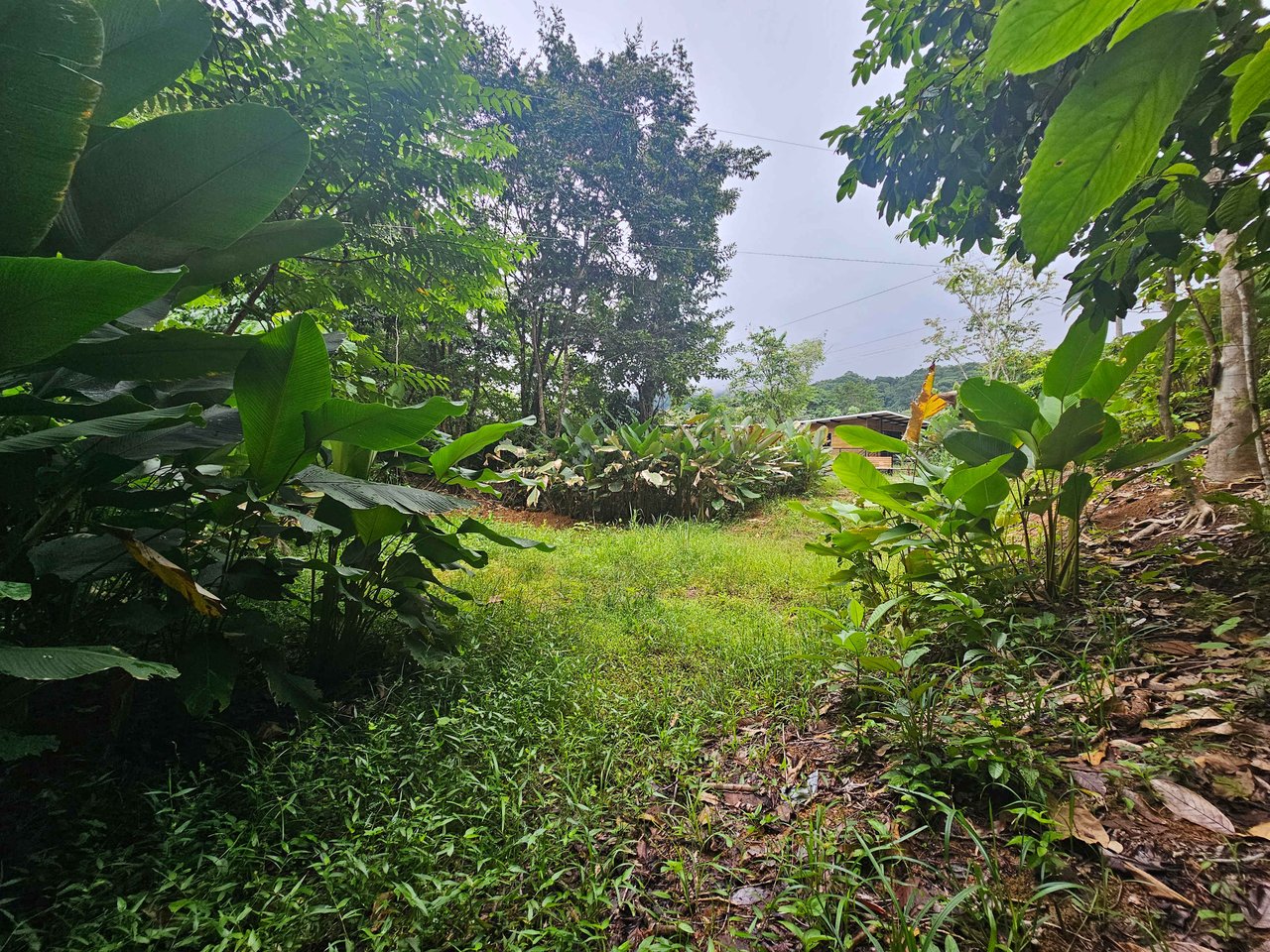Discover Your Dream in Uvita's Prime Real Estate