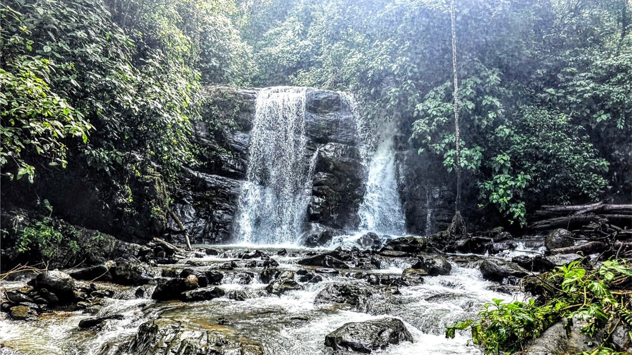 Rainforest Waterfall Acreage Estate, Dominical, Puntarenas