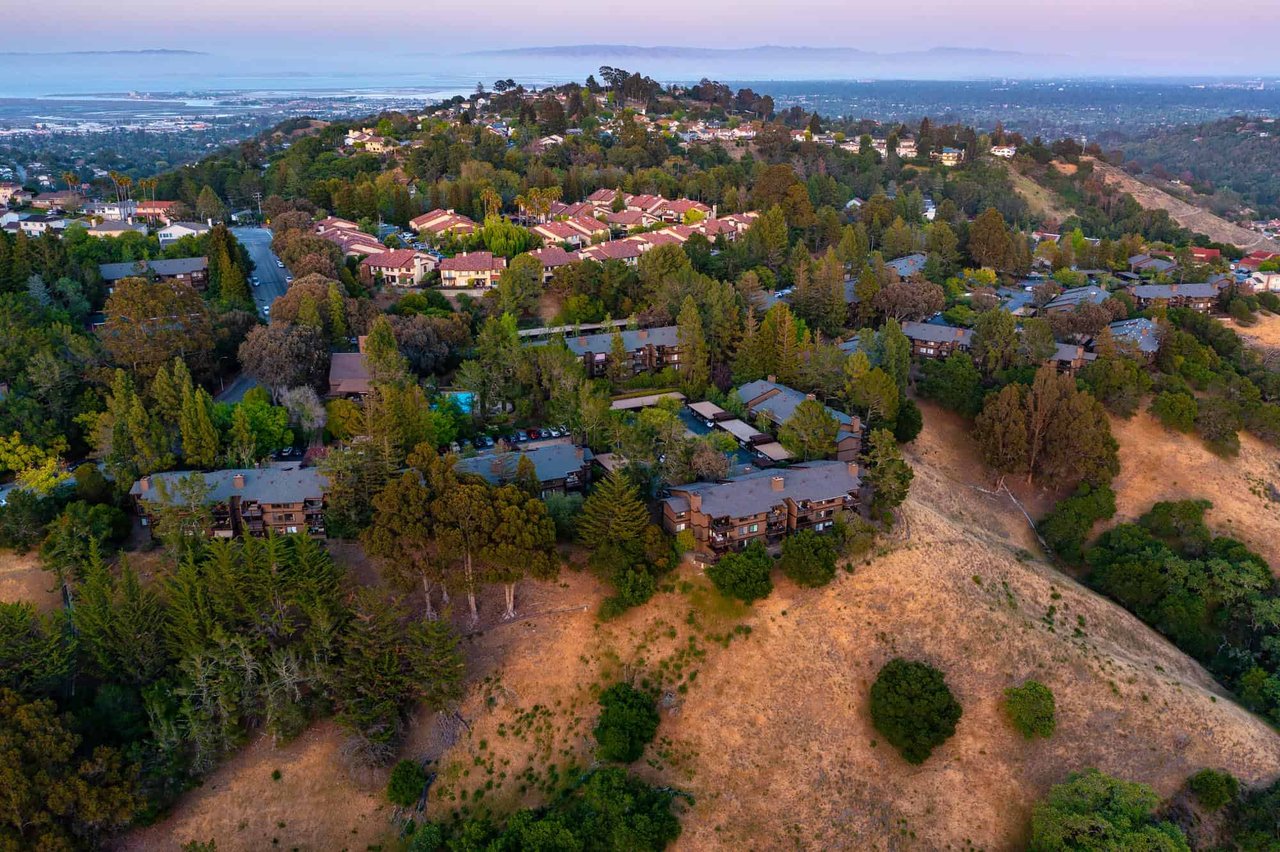 Wooded Retreat – Introducing 3349 Brittan Ave #12, San Carlos