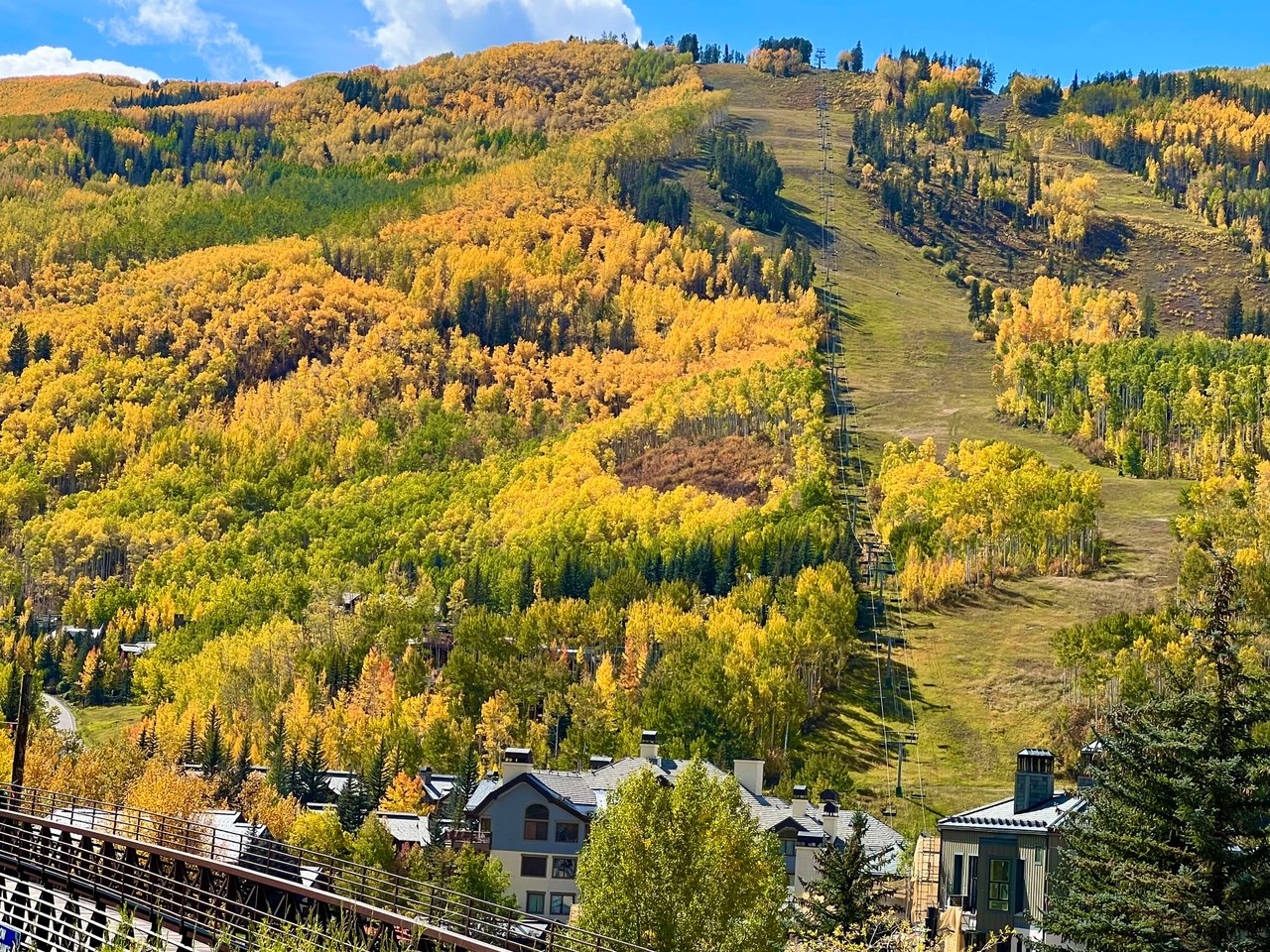 Golden Fall Color in Vail