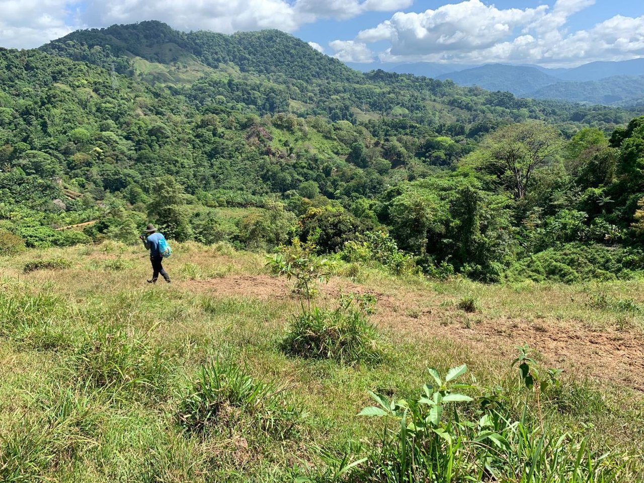 Prime 286-Acre Ocean View Property for Sale Near Quepos, Costa Rica – Ideal for Development