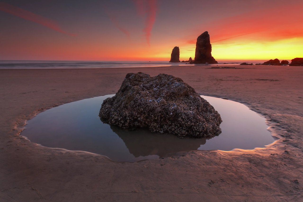 The needles rock formation in Cannon Beach  with a pink sunset over the ocean