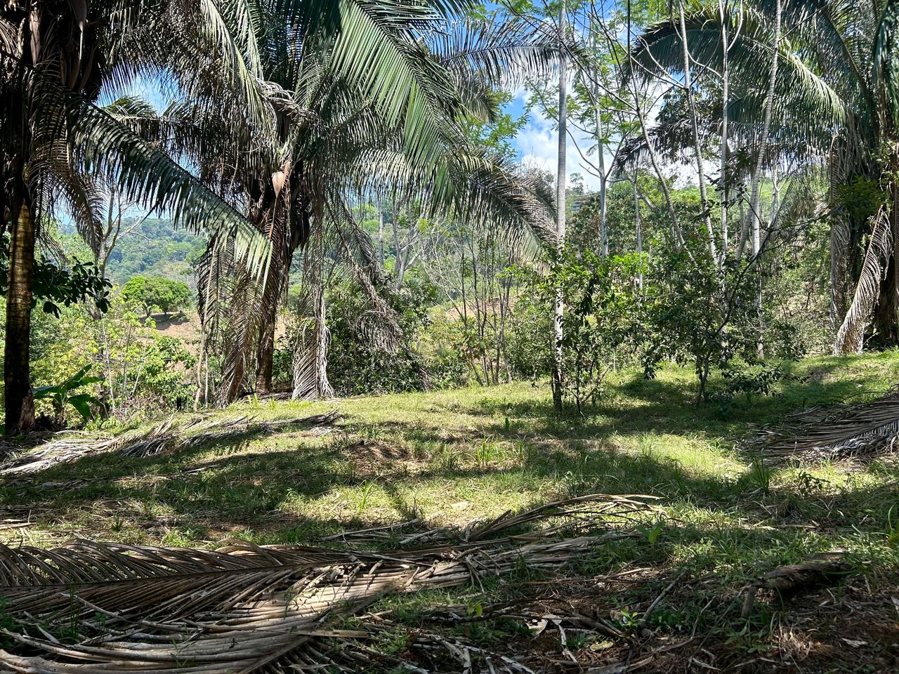 Great Location Land Parcel in Playa Hermosa