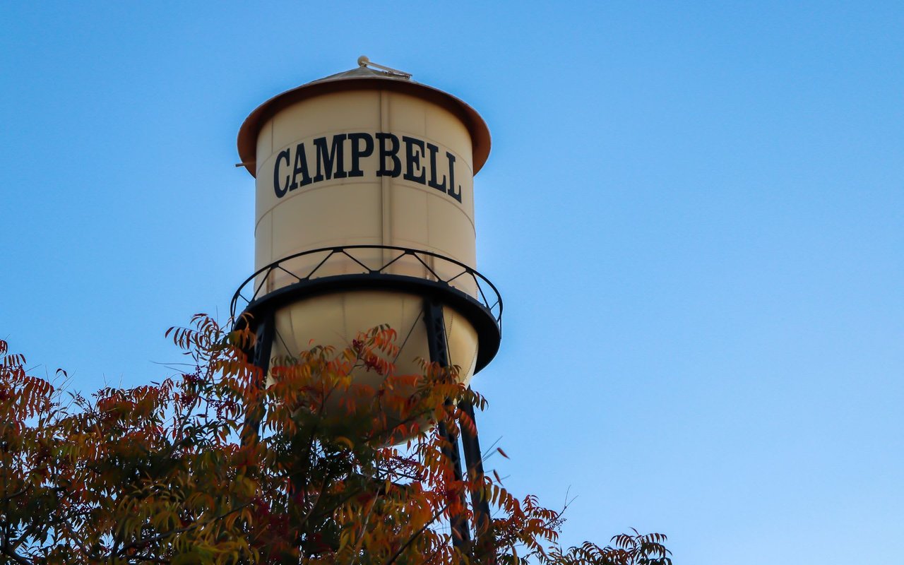 Campbell