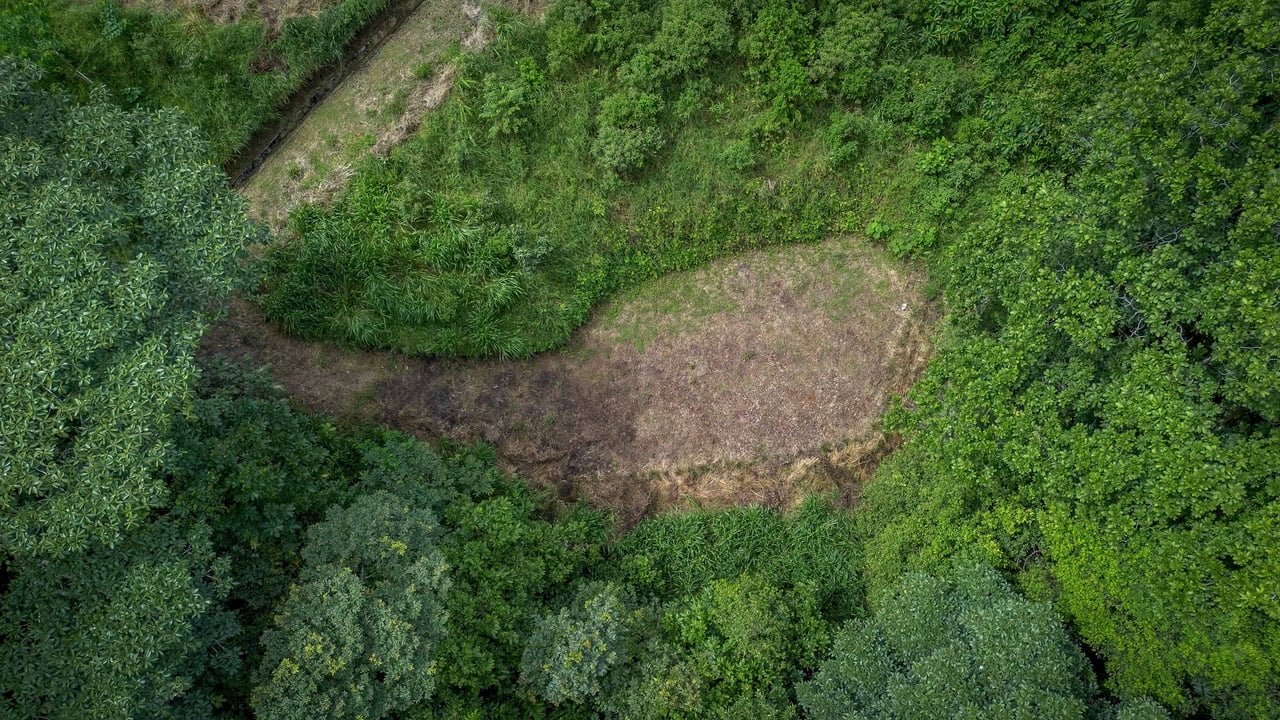 Tierra Bendita, 2.5 Acres of Usable Land with Exisiting Home and River Access!