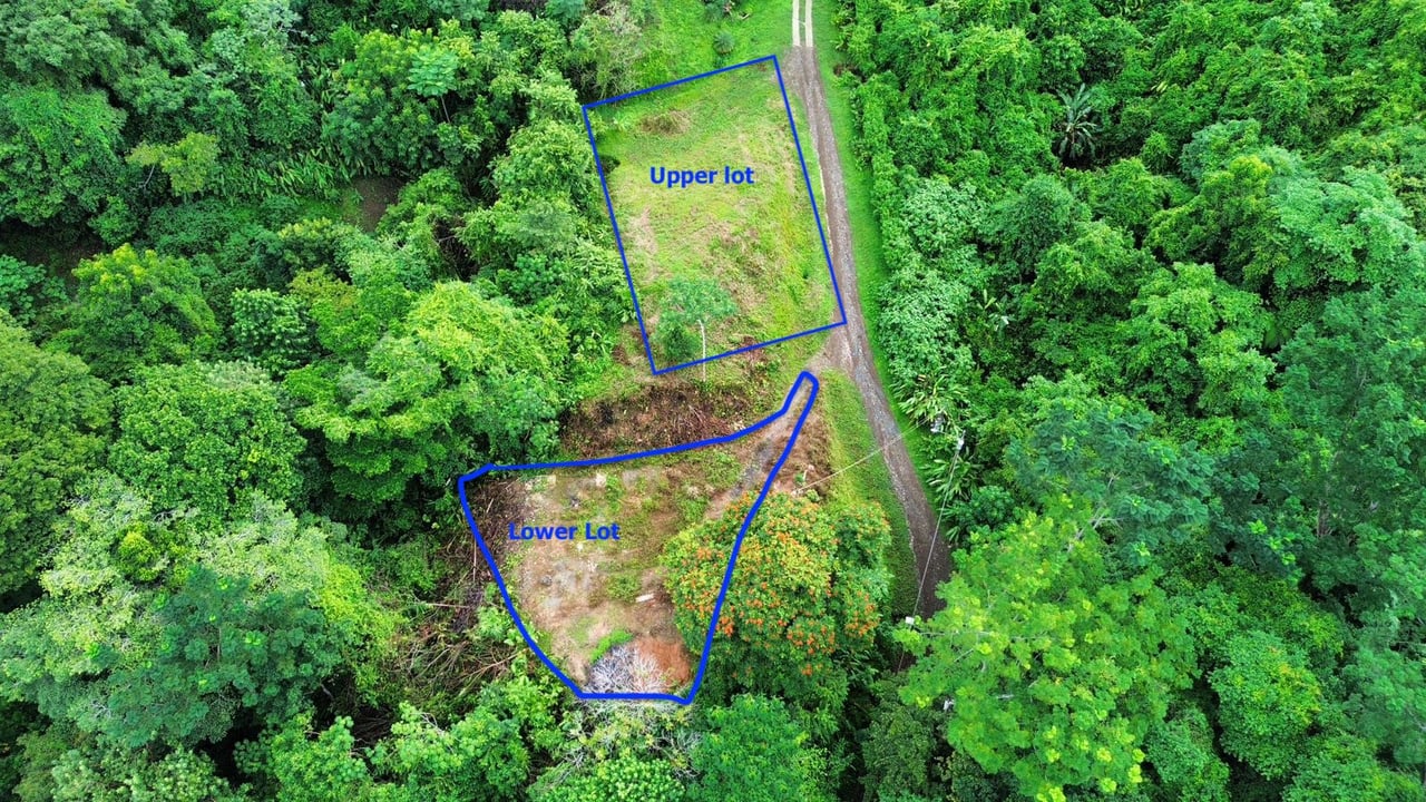 Expansive 1.74 Acre OCEAN VIEW lot w/2 large building sites