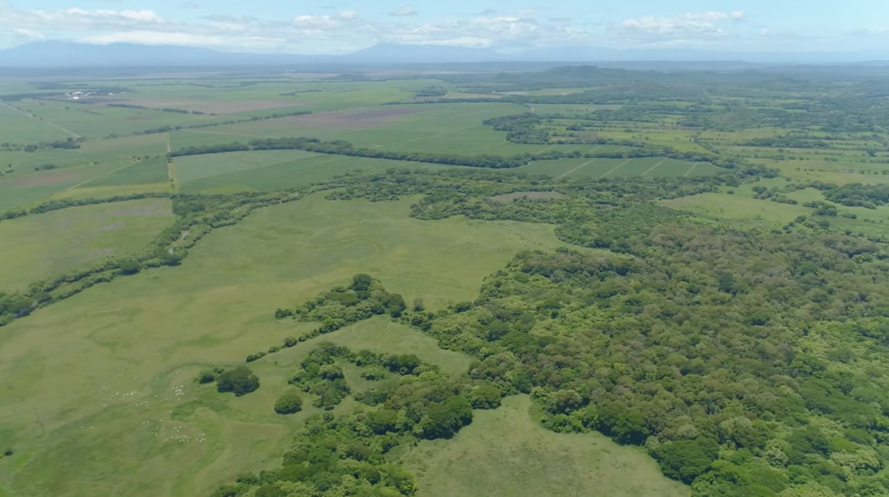 Strategic Cattle Ranch Development, Tamarindo, Guanacaste