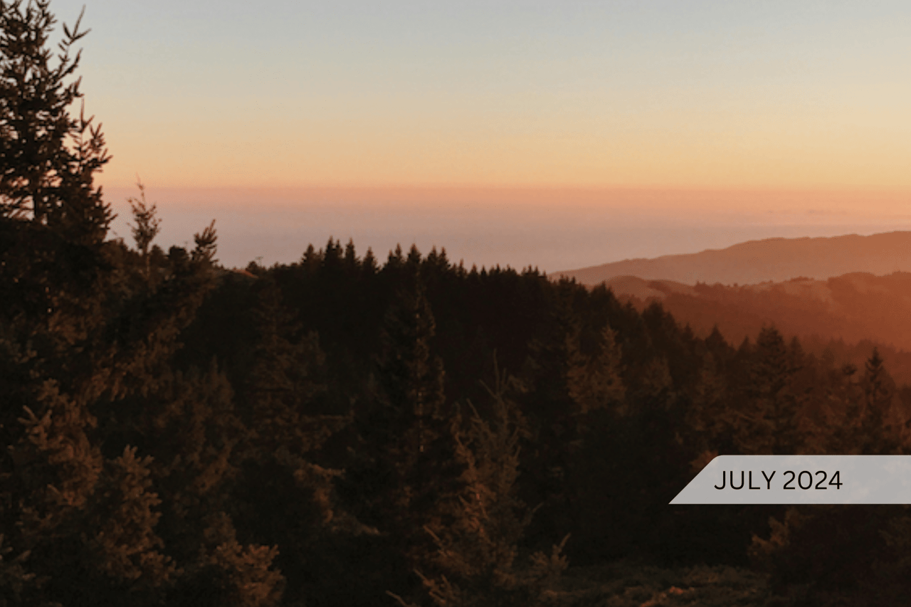 July 2024 - Happy Summer - Real Estate Market News & More