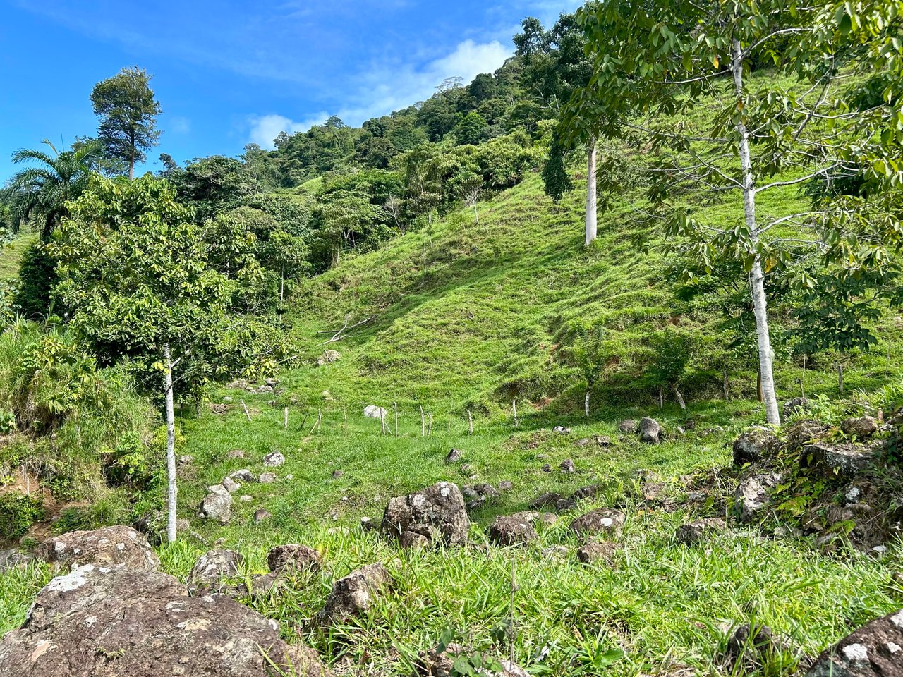 Stunning Ocean View Farm in San Luis de Morete, Over 23 Acres