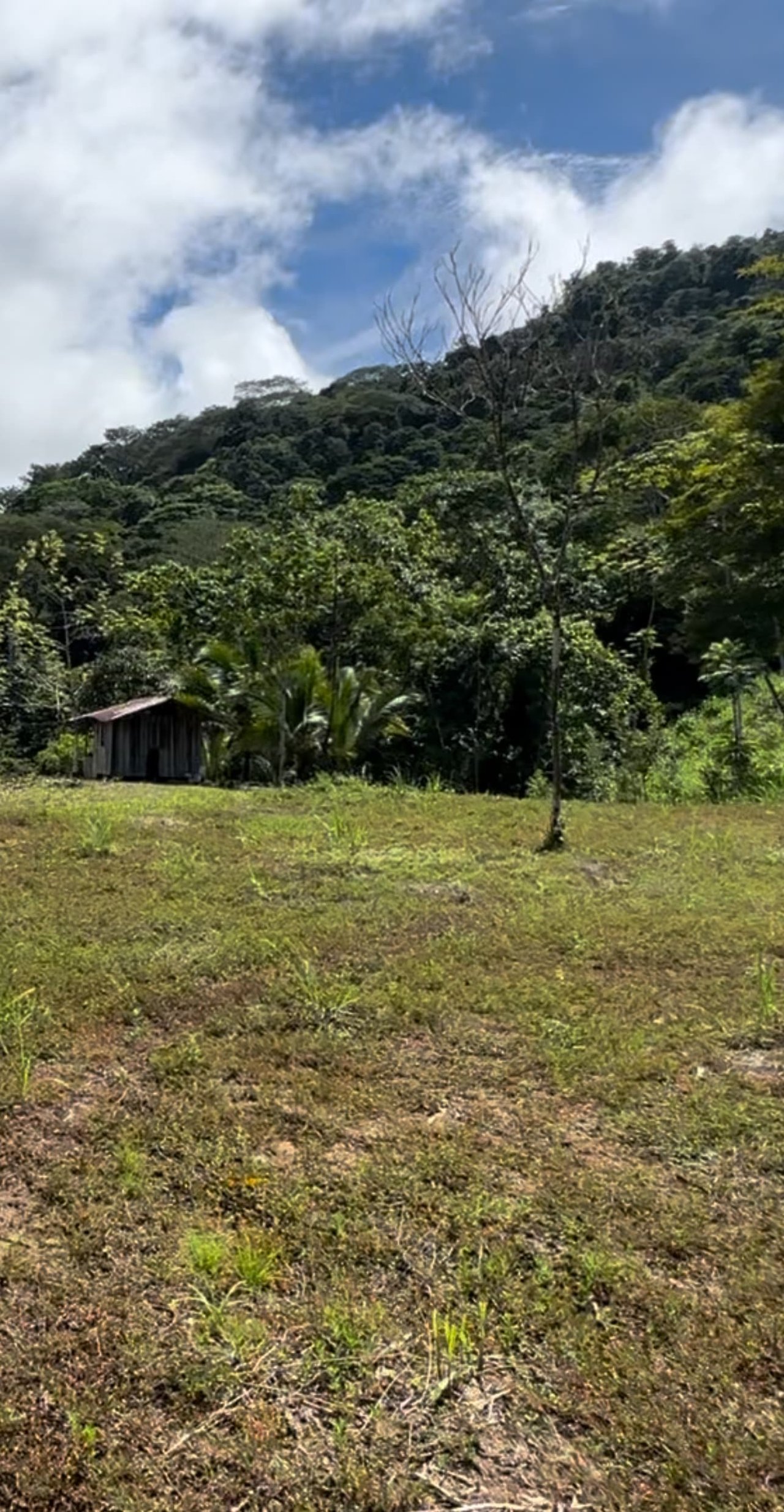 San Josecito Farm Above Uvita, 4 Acres, Creek and Usable Land