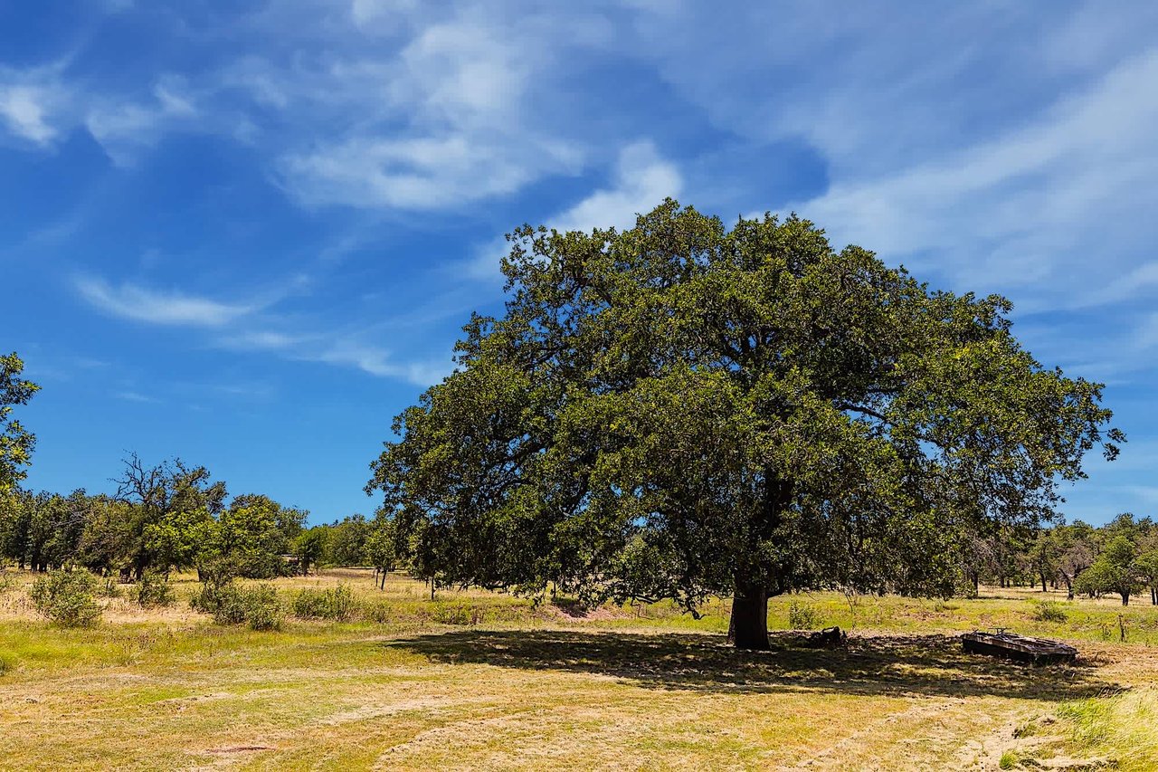 Sunset Ridge Ranchette | 20 +/- ACRES | Fredericksburg, Tx