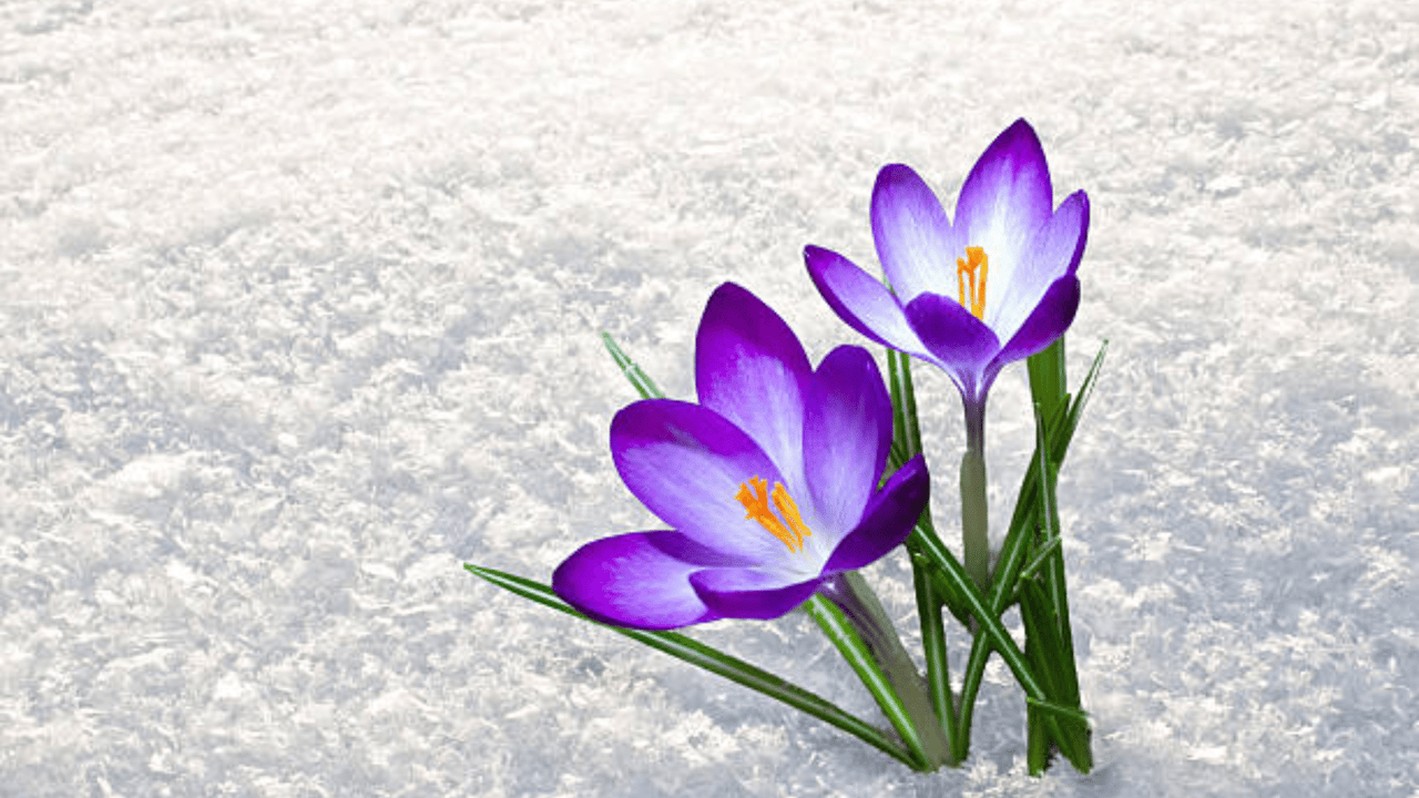 Weekend Happenings Around the Twin Cities