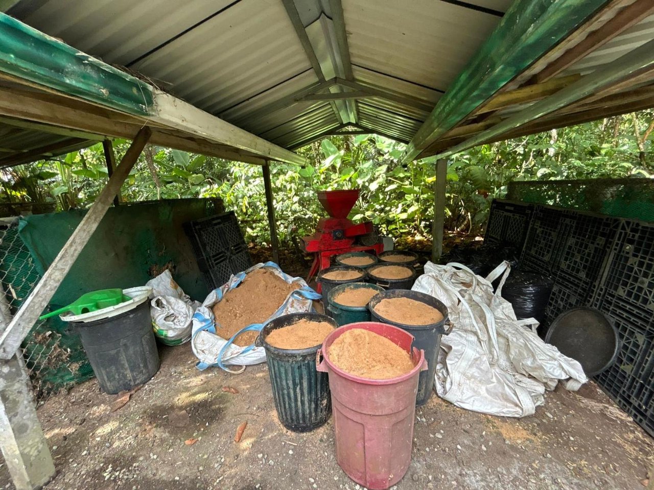 Sustainable Conservation Retreat, Osa, Puntarenas