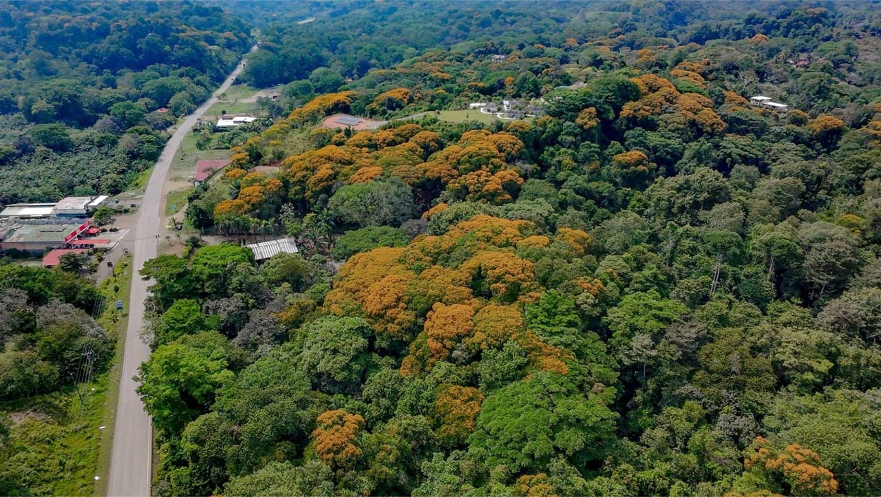 Oceanfront Highway Commercial Land, Ojochal, Puntarenas