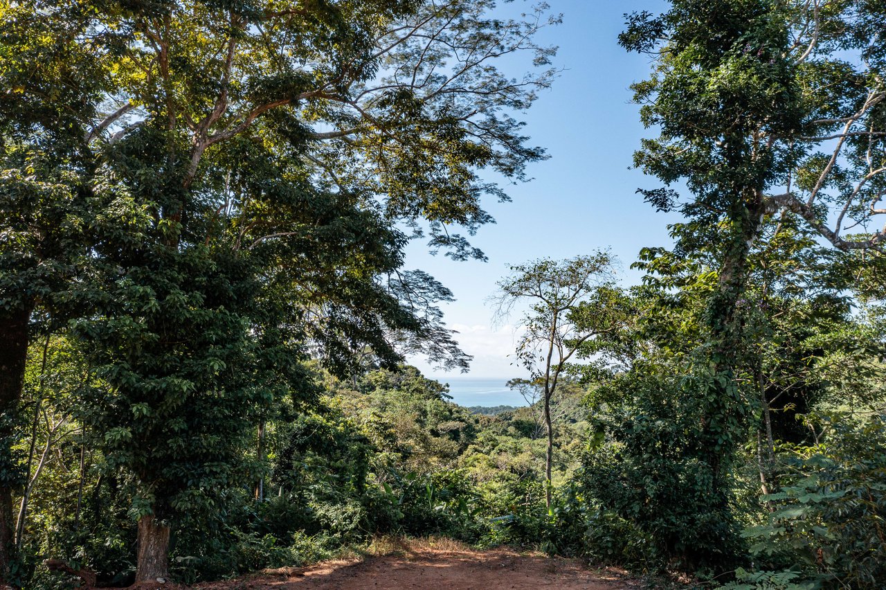 Secluded Ocean view Land in Dominical, Costa Rica