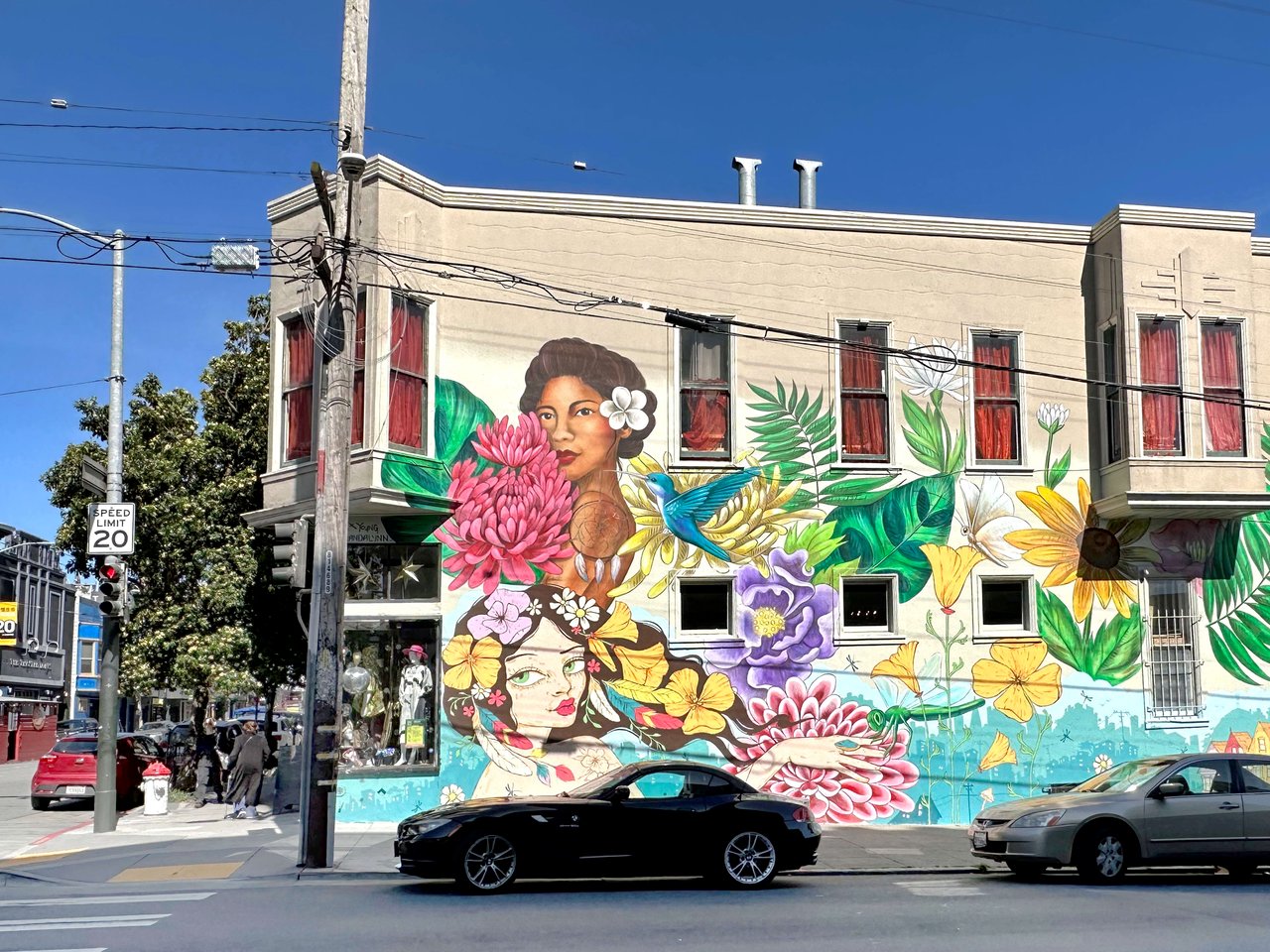 Hayes Valley / Lower Haight / NOPA