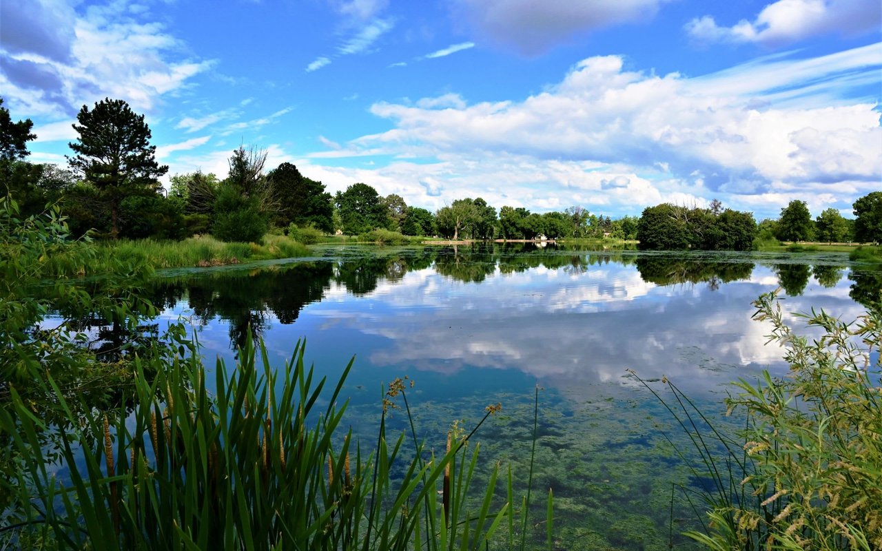 A Guide to Washington Park