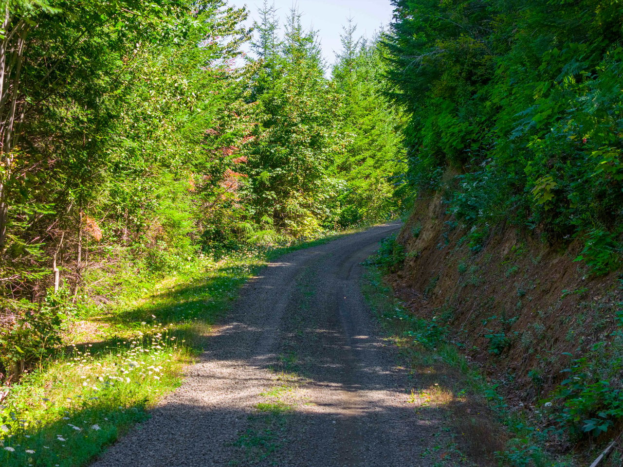 High Pass Tree Farm