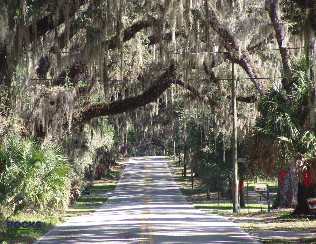 Why You Should Move to Citrus County, FL