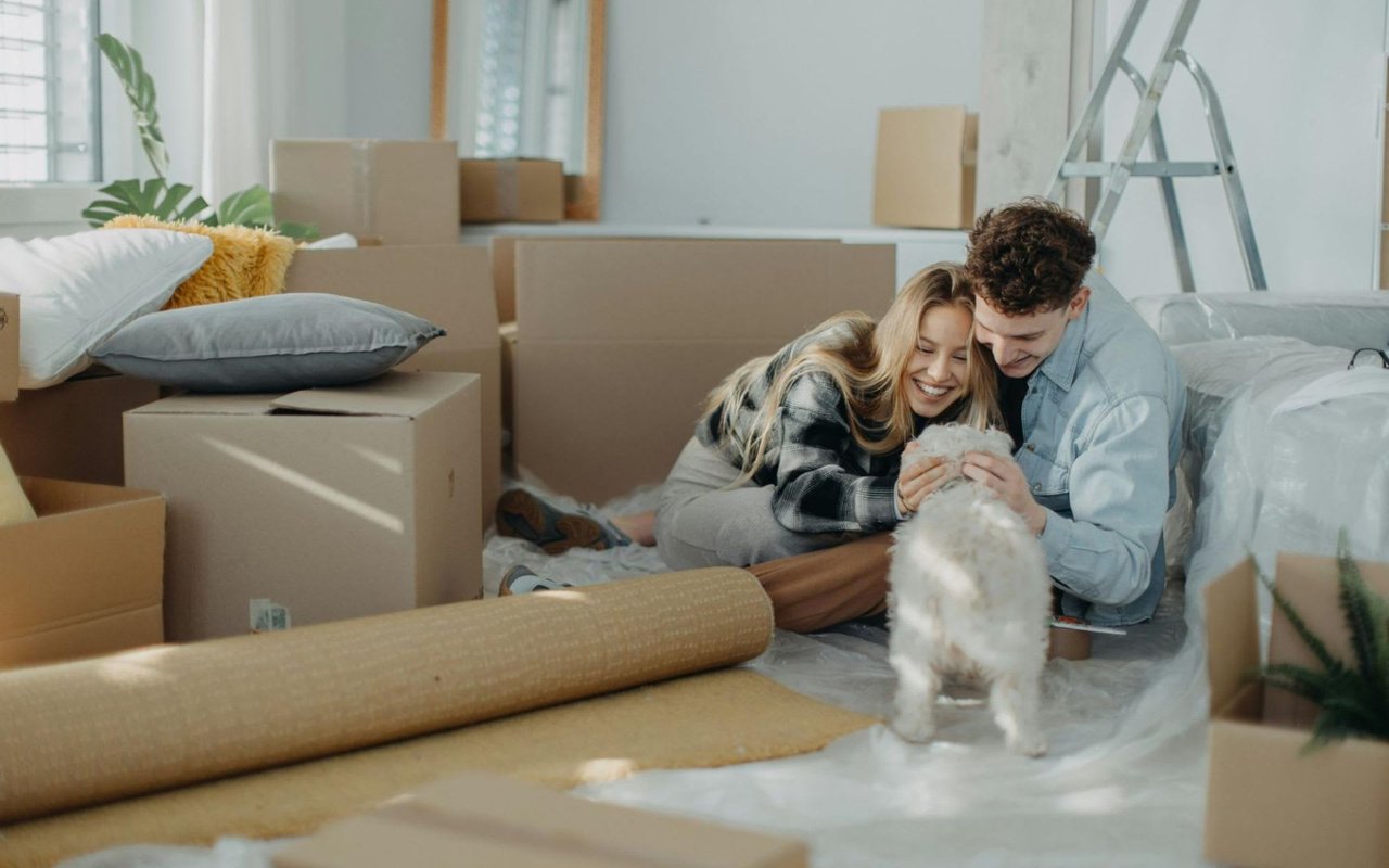 4 Tips for Moving with Pets