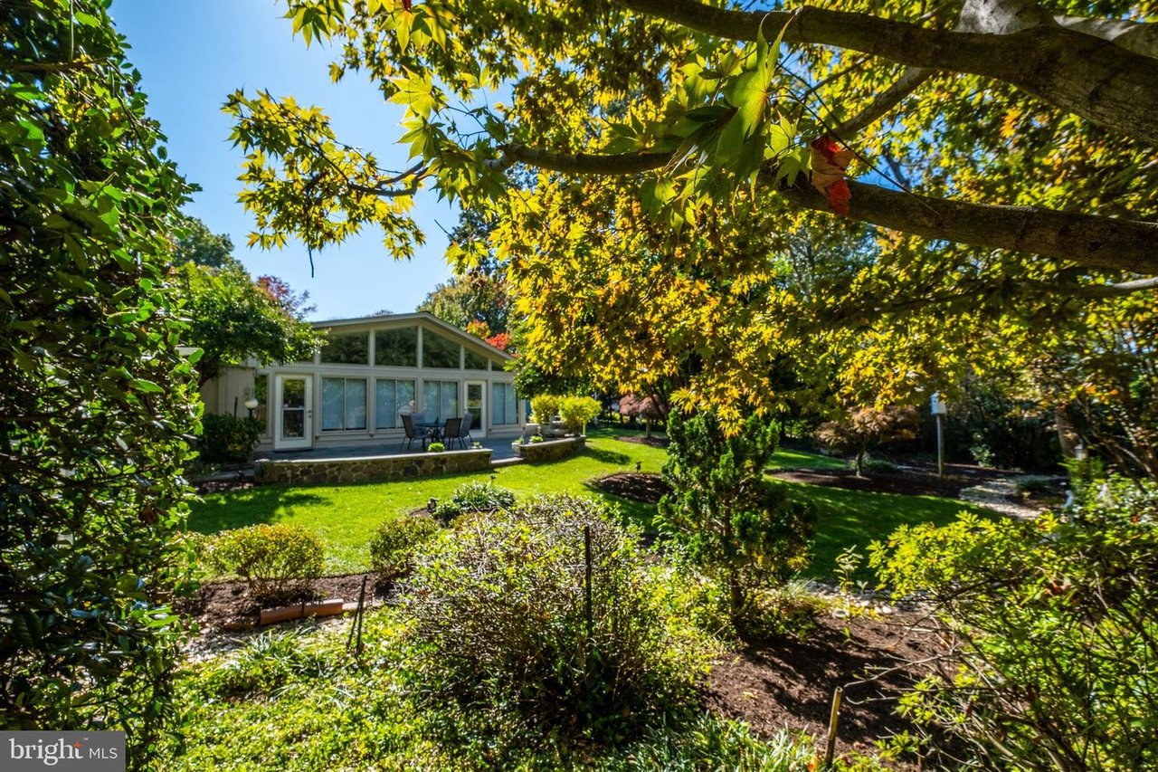 Home with large rear windows and a patio, framed by mature trees and autumn foliage.