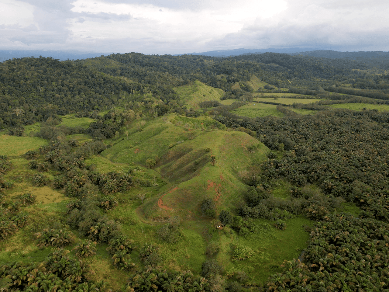 382 Acres of Sierpe River Wild Lands