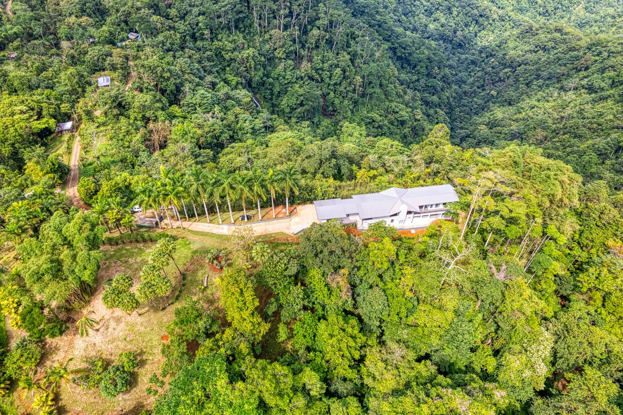 Secluded 67-Acre Costa Rican Paradise with Luxurious Residence