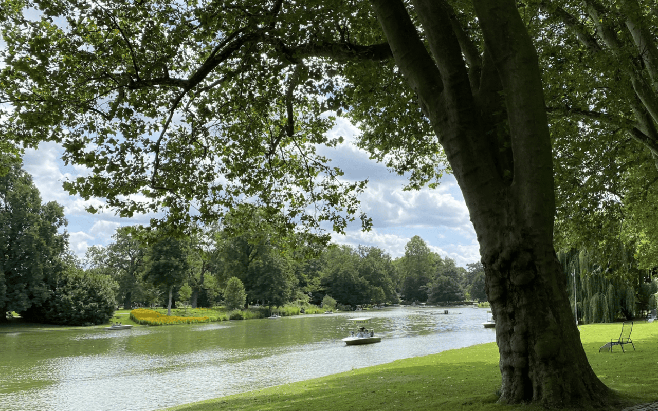 A Guide to Charlotte, NC Parks