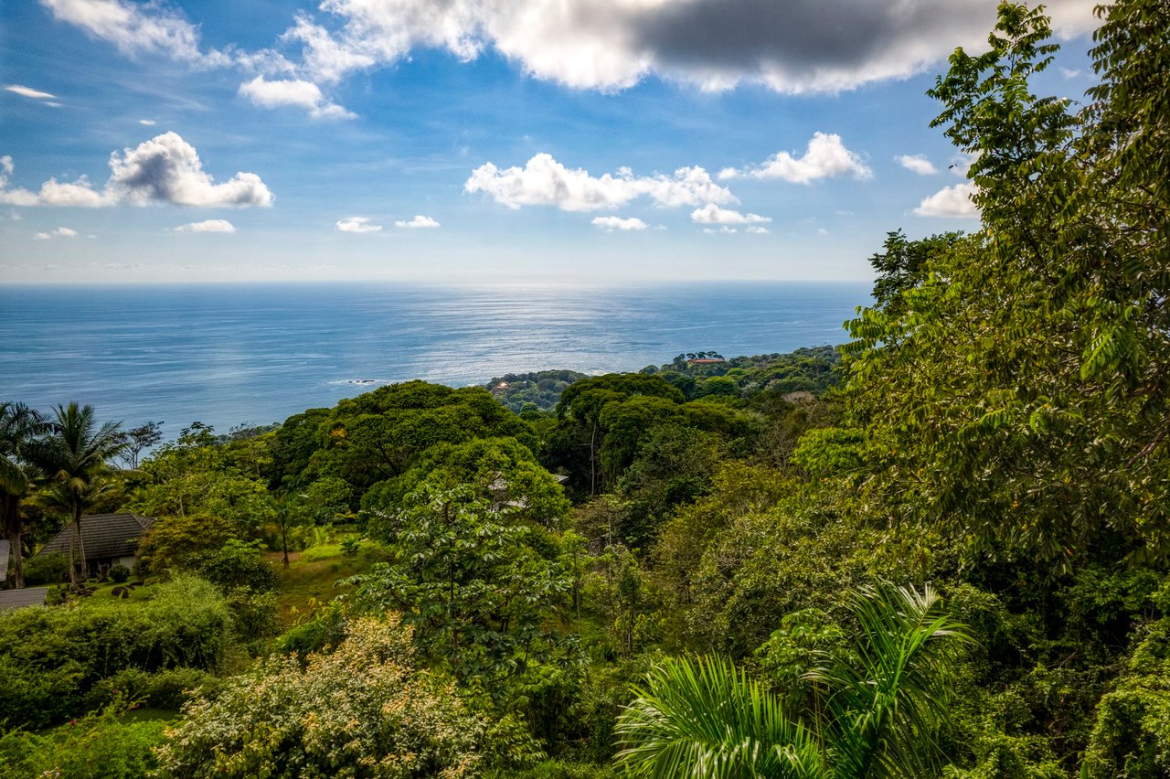 Stunning Ocean Views at Casa Perezoso