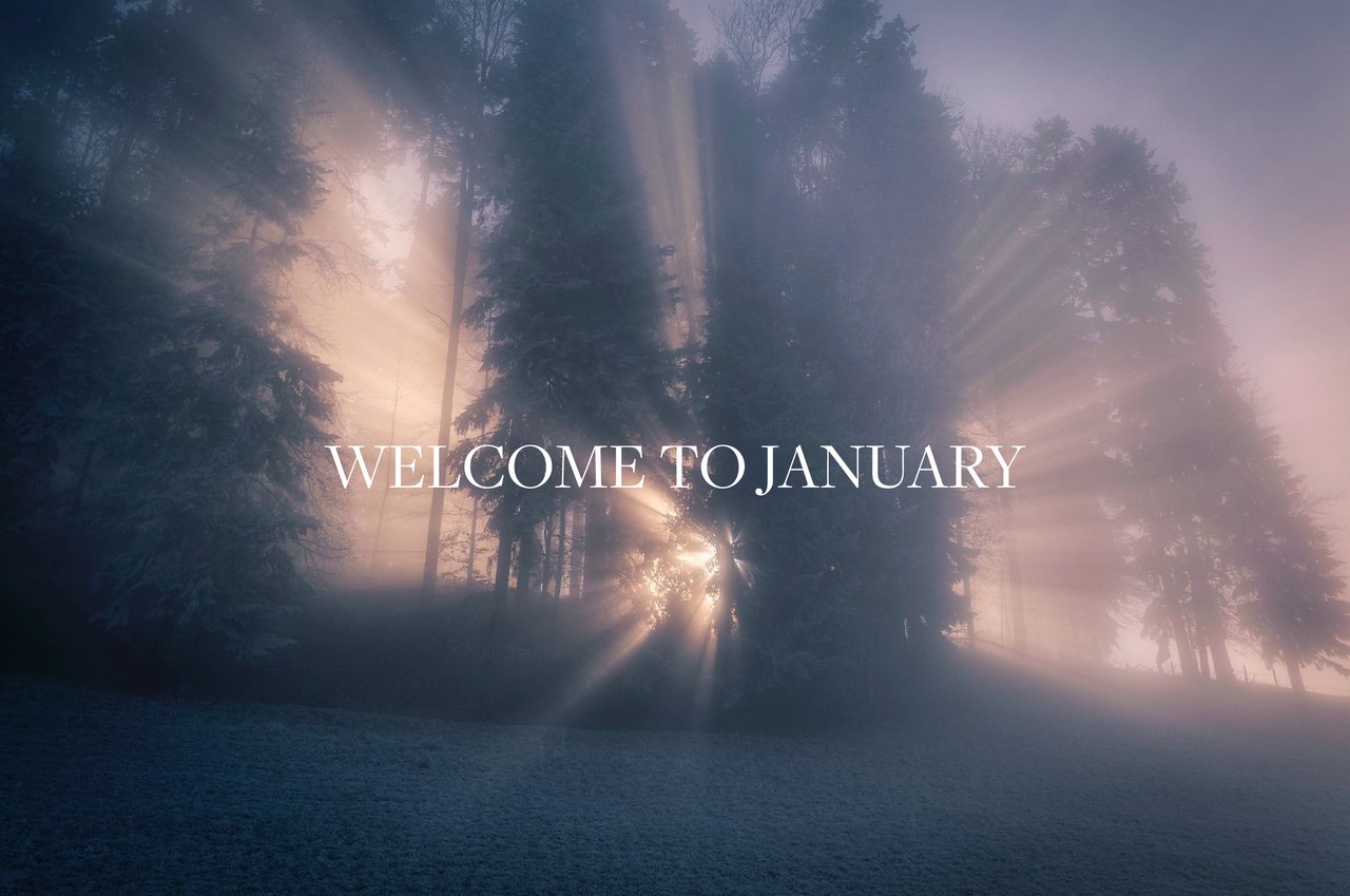 January Activities in Greenwich