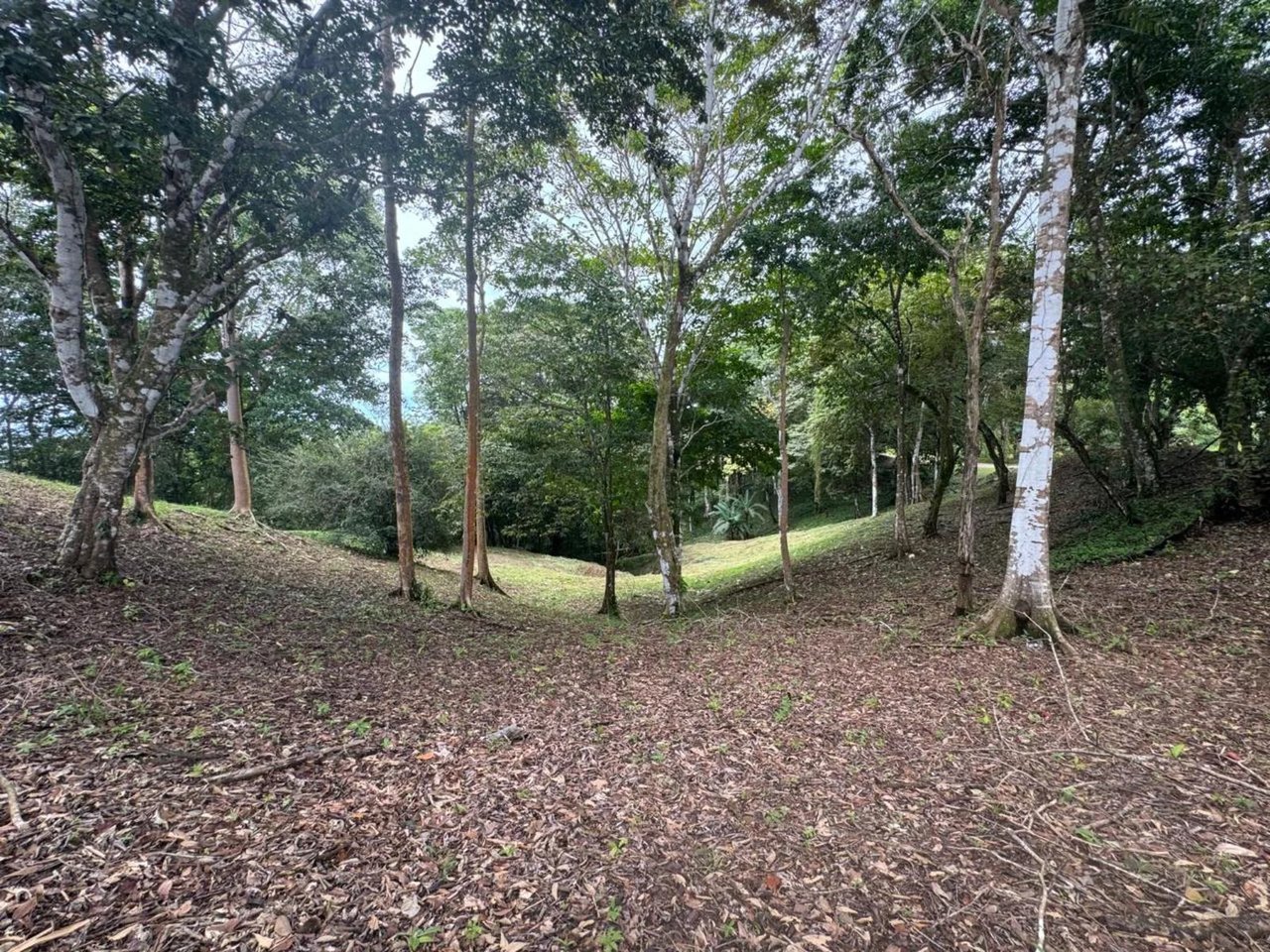 Private Ocean View Development Lot, Ojochal, Puntarenas