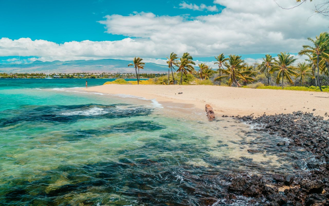 Kohala Coast