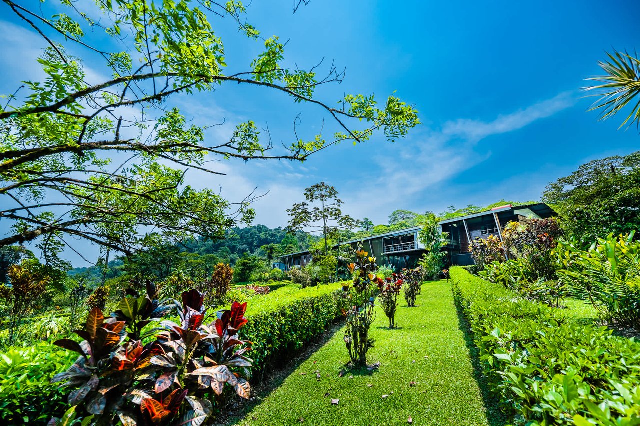 Celeste Mountain Lodge | Mountain Hotel/Resort/Hostel For Sale!
