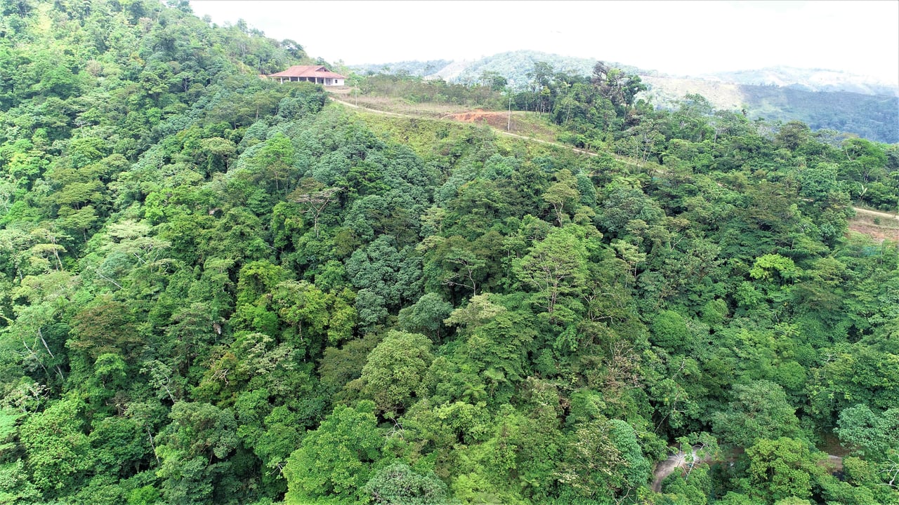 Easy Access, 60 acre farm with 10 building sites and waterfall.