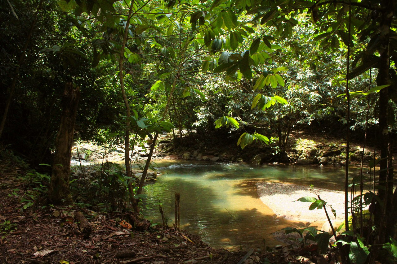 Wildlife Reserve Farm close to Ojochal