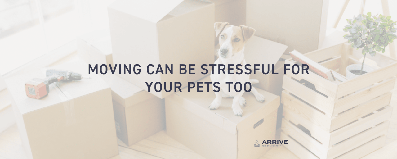 Moving Can Be Stressful For Your Pets Too