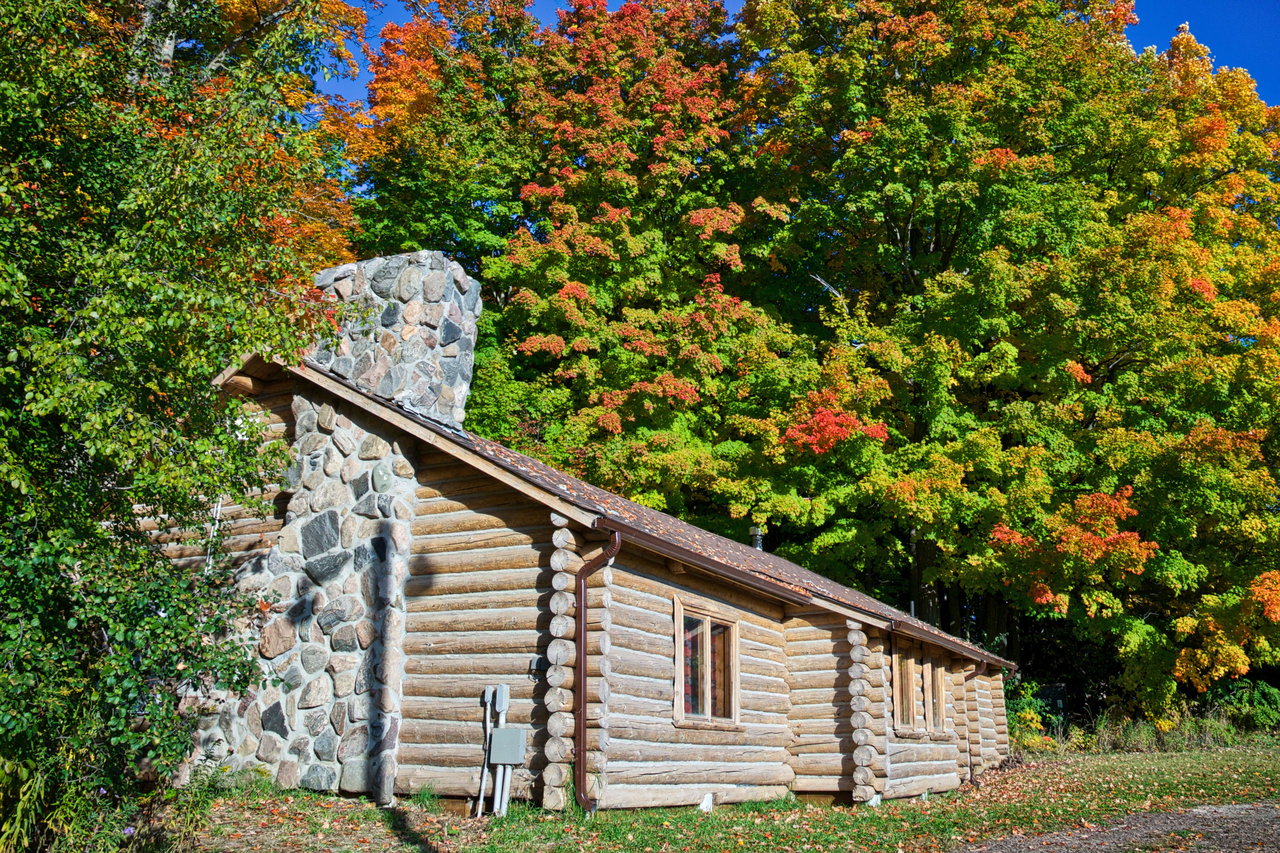 A rustic log cabin nestled amidst towering trees