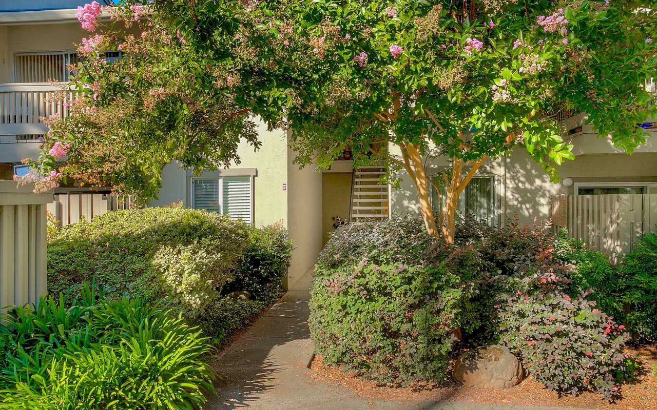 2564 Walnut Blvd, #107