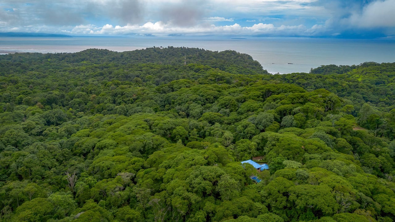 3 Bedroom Jungle Home in Ojochal