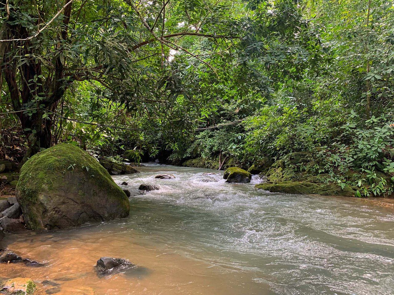 Farm In Chontales, 47 Acres With Ocean View And River