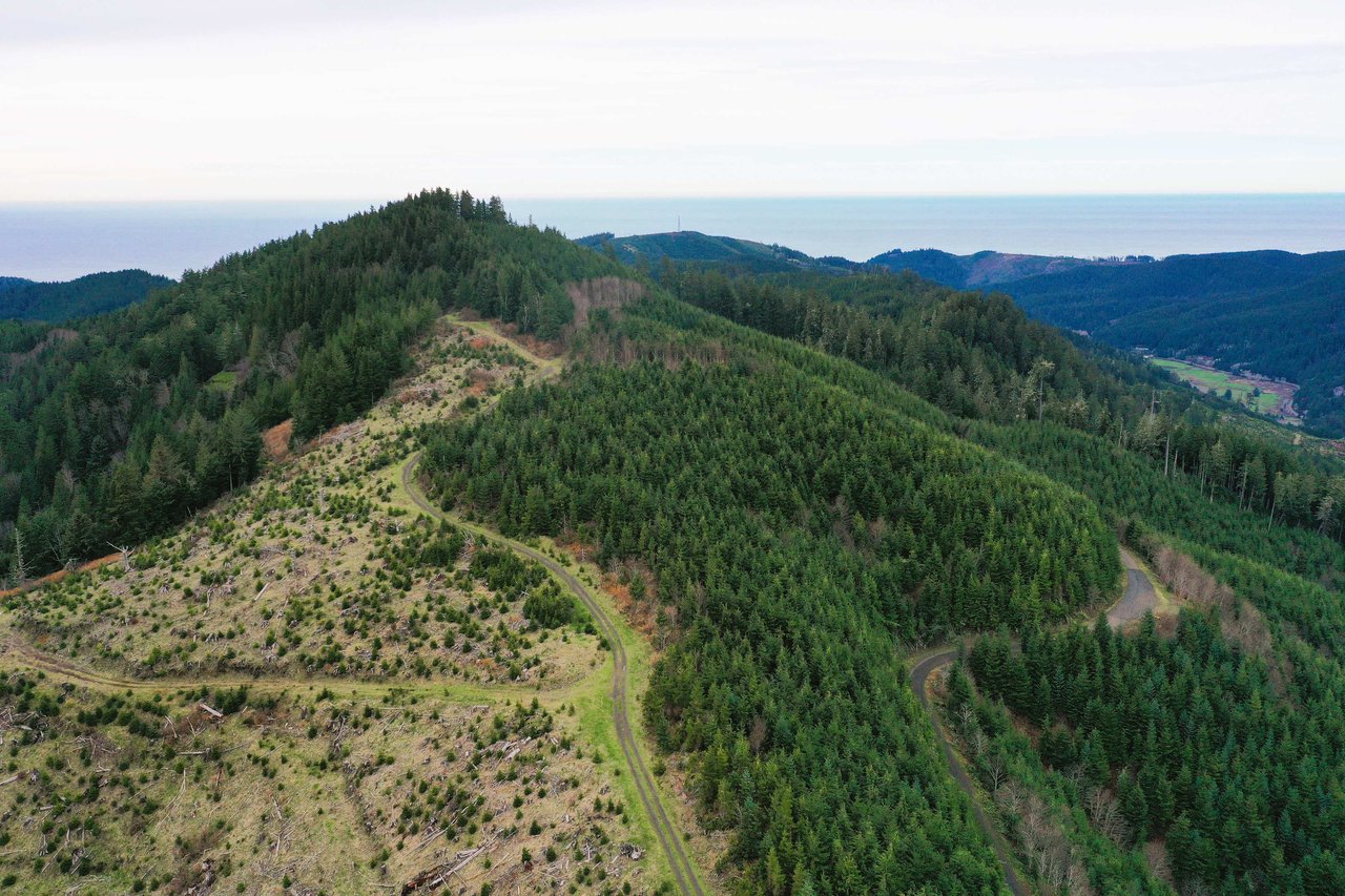 Cummins Creek Wilderness Overlook