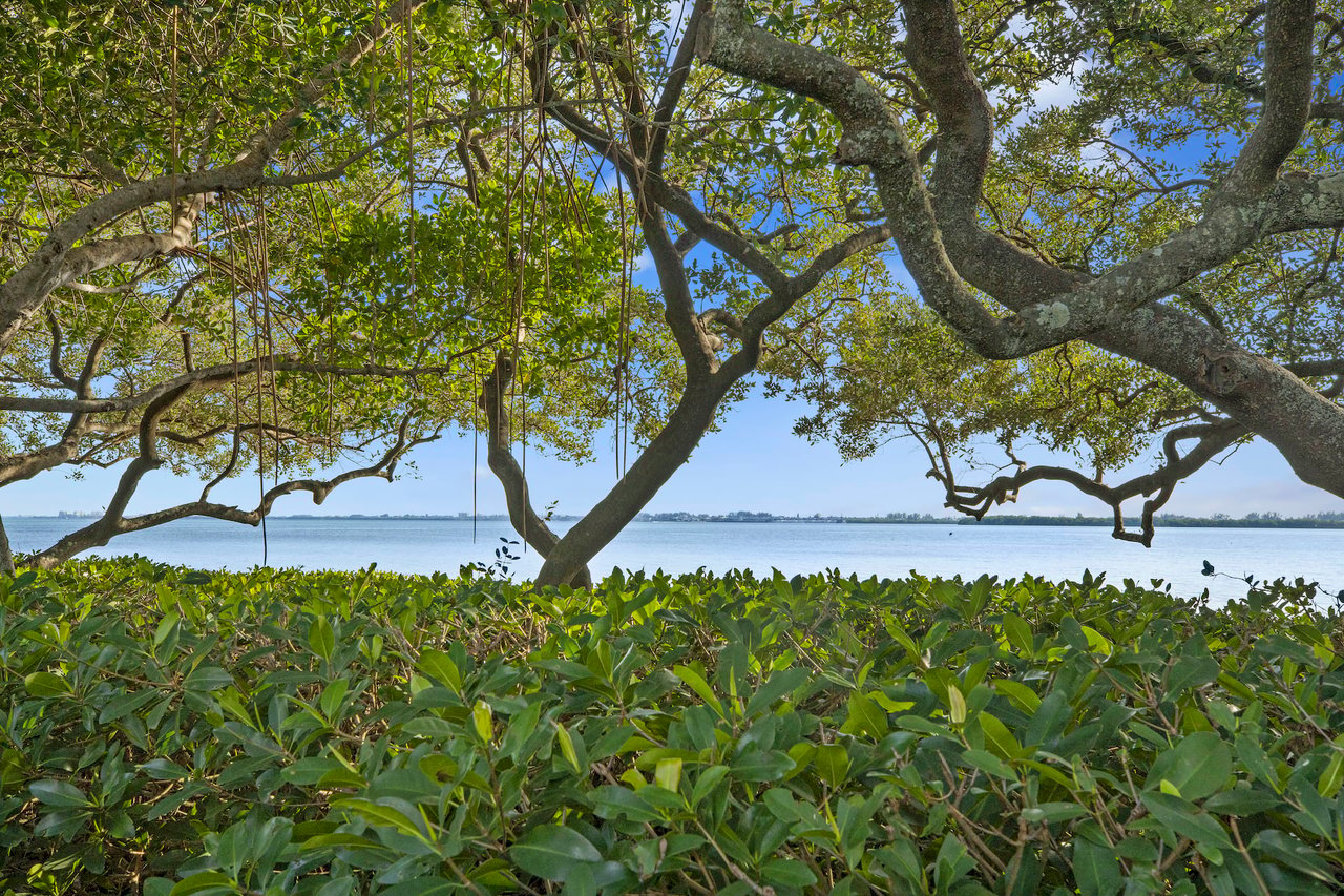 Tidy Island 