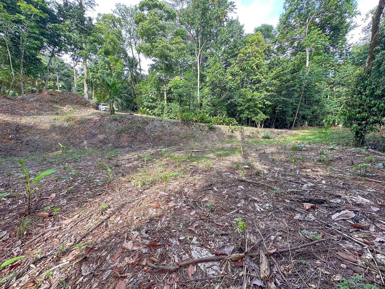 Beach Lot in Gated Community, Playa Bellena. 